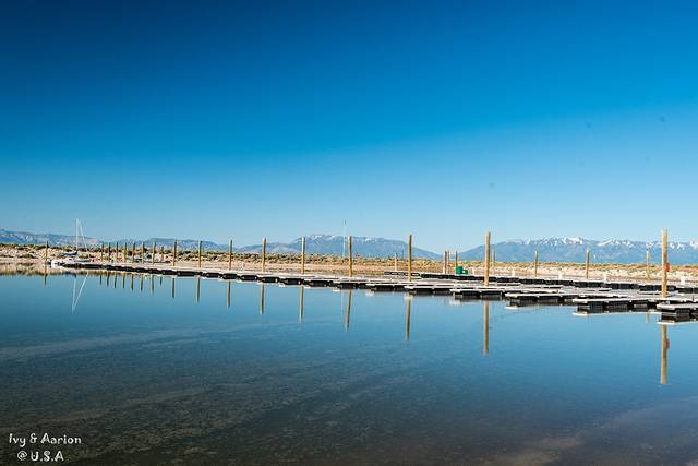 羚羊岛州立公园