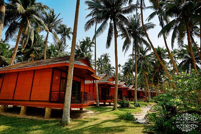 东郊椰林风景区