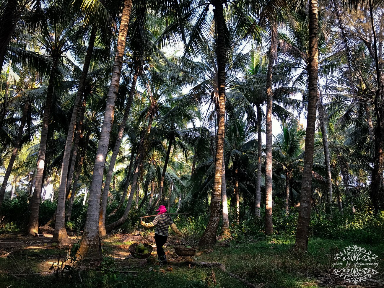 2018椰子岛游玩攻略,椰子岛位于陵水椰林乡排