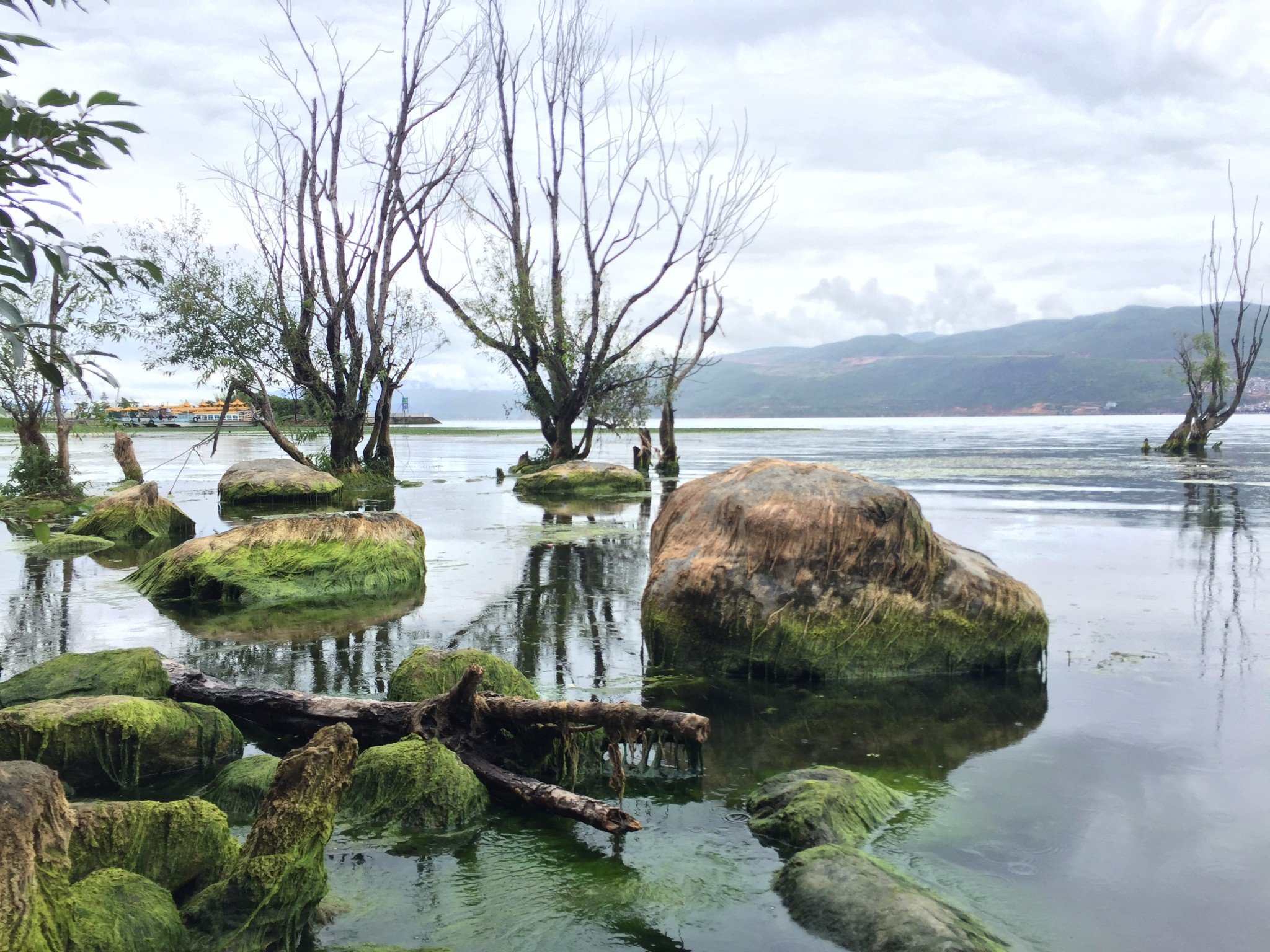 才村湿地公园:免费的,但是没什么意思,就是看看洱海(的一小部分),而已