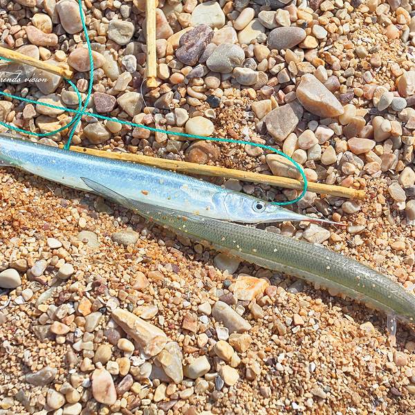 2018长岛黄渤海分界线门票,长岛长岛黄渤海分