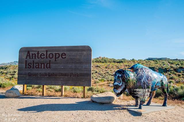 羚羊岛州立公园