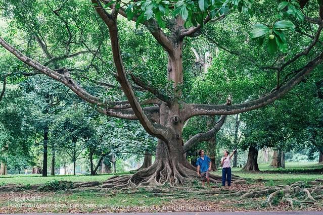 康提皇家植物园