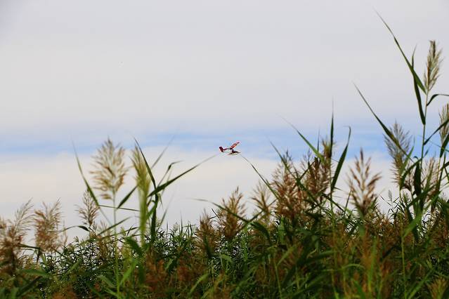 宁夏湿地博物馆
