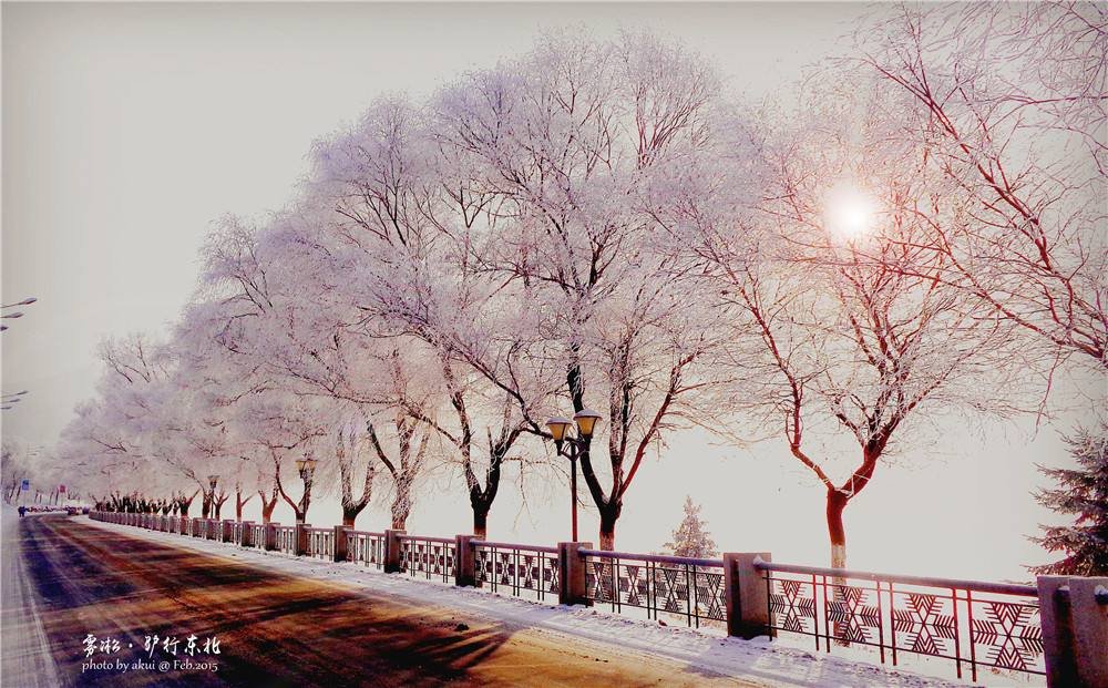雾凇之城，北国好风光