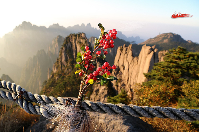 群峰顶上插茱萸,乘鸾踏碎天都云--重阳节黄山游