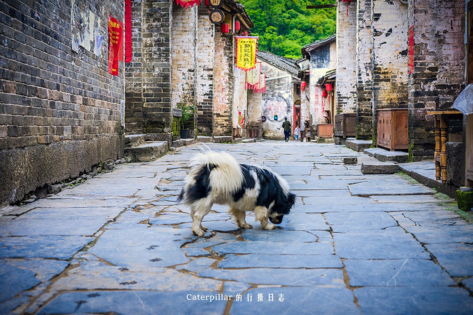古镇清晨图片