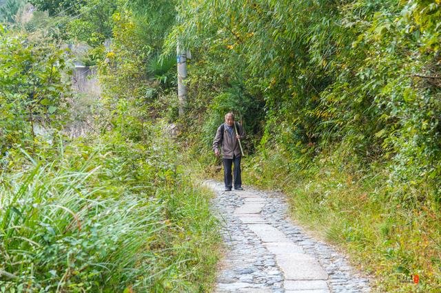 安徽绩溪被自驾和摄影爱好者青睐,一到秋季都