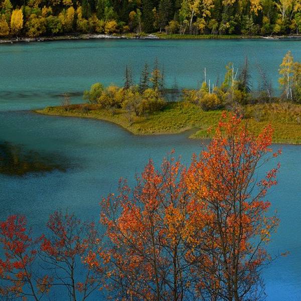 5c45fd132a4705b5.jpg_600x600x70_4415a866.jpg