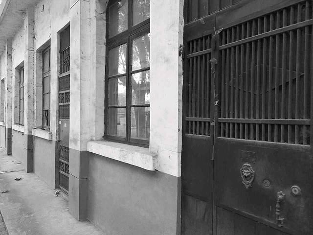 陕西师范大学(雁塔校区)-牡丹园