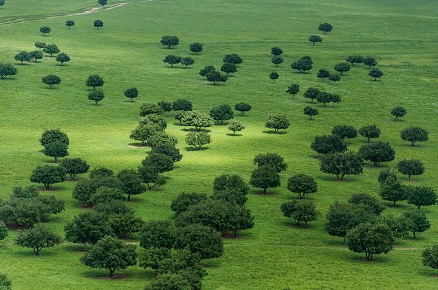 科尔沁国家级自然保护区