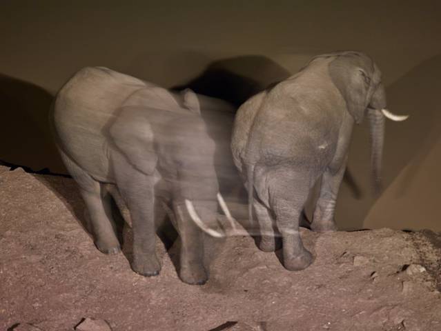 阿伯德尔国家公园