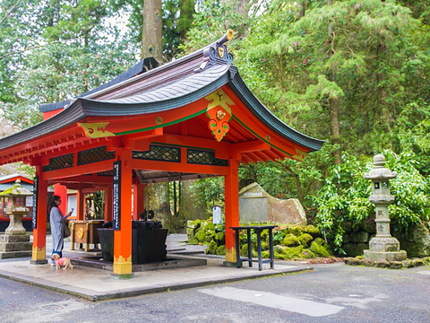 箱根神社旅游景点图片