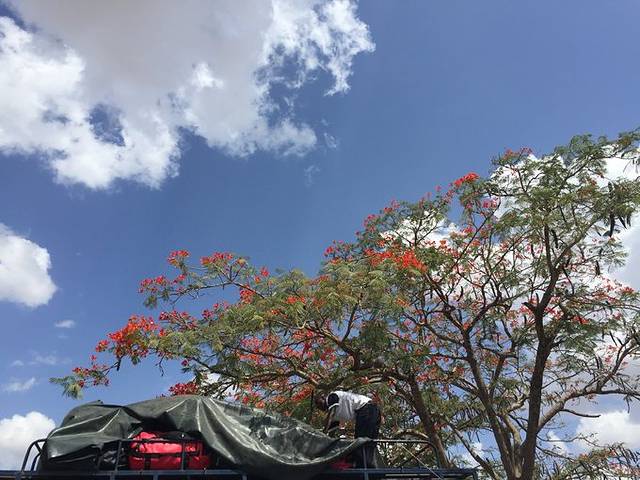 乞力马扎罗机场