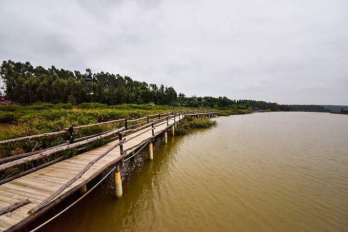 彩桥湿地公园图片