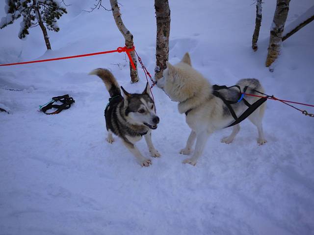 Saariselka Ski Resort