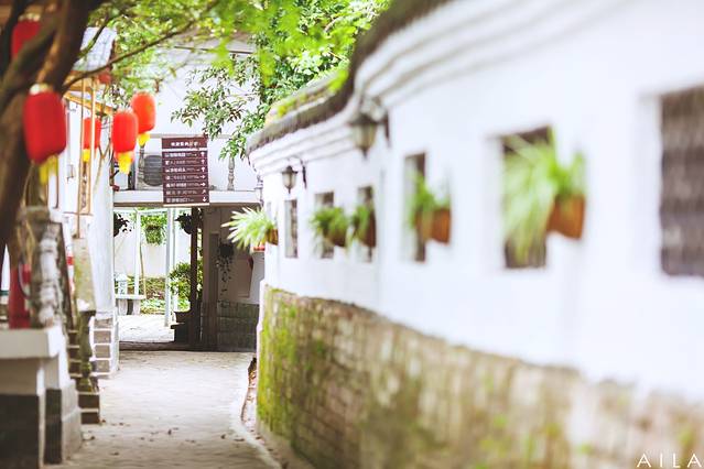 康庆渔家灯火休闲农庄