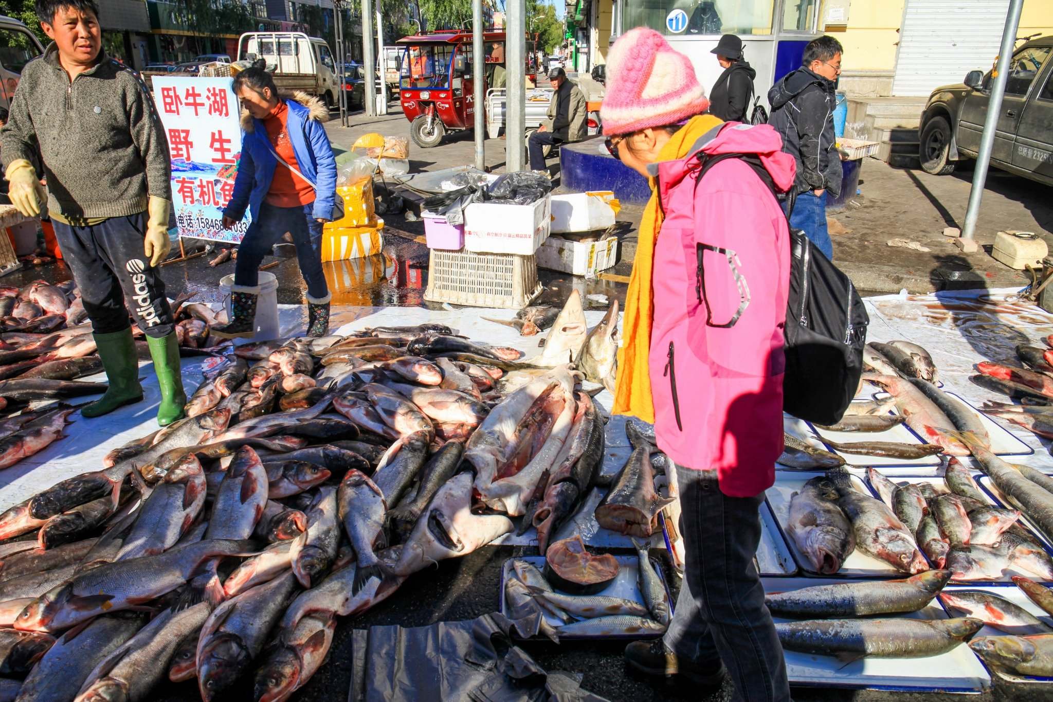今日在黑河游览黑龙江公园,世纪广场,卧牛湖,大黑河岛等.