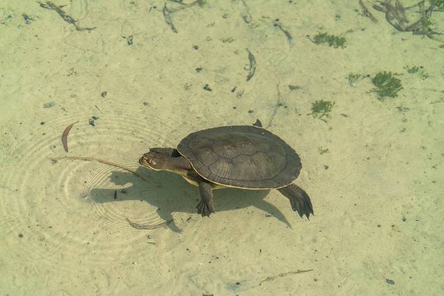 麦姬比尔农庄商店