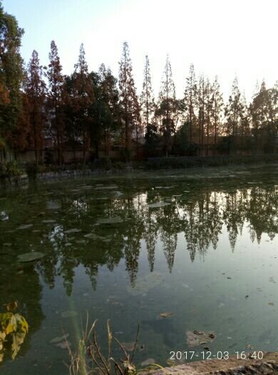 饮马池院子火锅