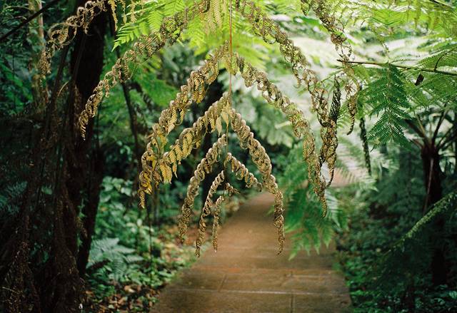 中国株椤纪公园
