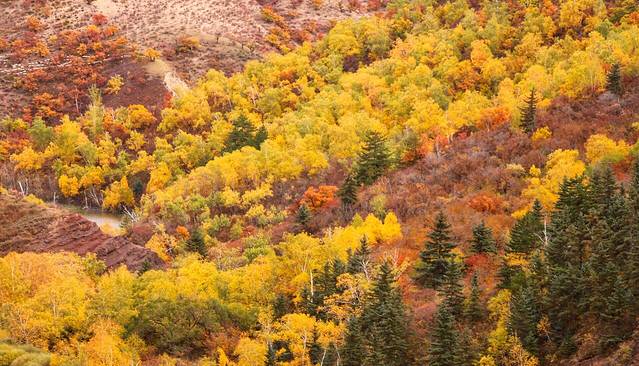 西拉沐沦大峡谷园区