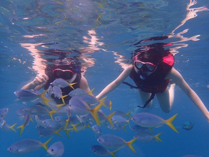 美人鱼水道图片