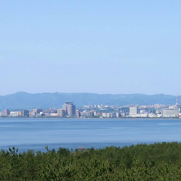 90be5068589fe1b5.jpg_600x600x70_df8f2db9.jpg