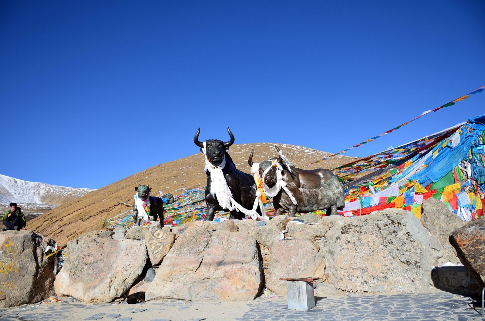 2022米拉山口游玩攻略,.价格很划算,6点半在布宫.【去哪儿攻略】