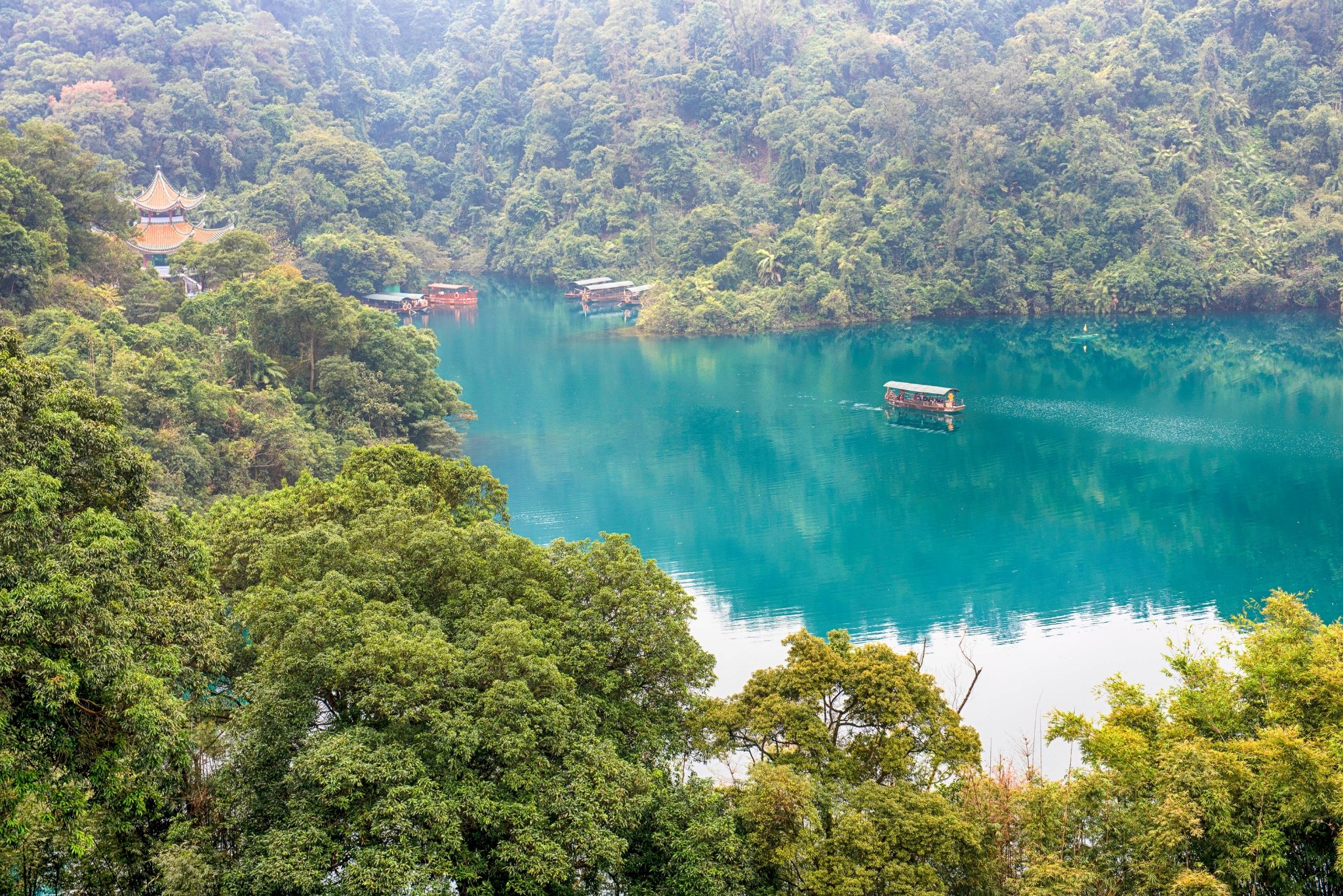 2020鼎湖山-旅游攻略-门票-地址-问答-游记点评，肇庆旅游旅游景点推荐-去哪儿攻略