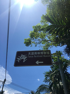 海南天涯热带雨林博物馆旅游景点攻略图