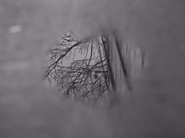 郑州商城国家考古遗址公园