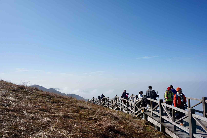 "...个小时，这一段风景非常好，非常独特的高山草甸，且四季不同景，春夏绿油油，秋季金灿灿，冬天白皑皑_下一站(中心商务区店)"的评论图片