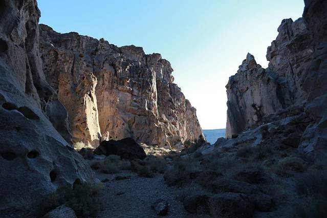 莫哈维国家保护区
