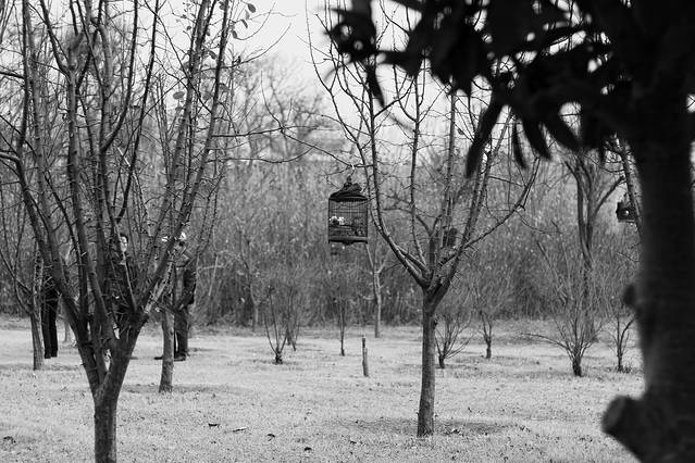 郑州商城国家考古遗址公园