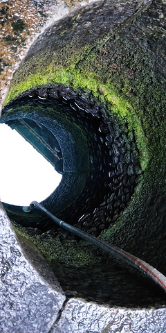 和贵楼内和贵楼仰视图一棵开花的树,很美怀远楼晚上7点,回到中山路