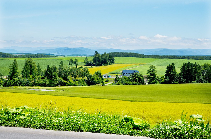 必到访的景点大片的田野上绿色的黄色的农田如同各色的布块相拼到一起
