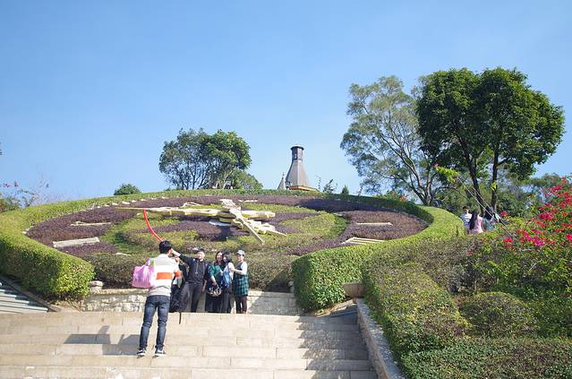 东部华侨城-湿地花园