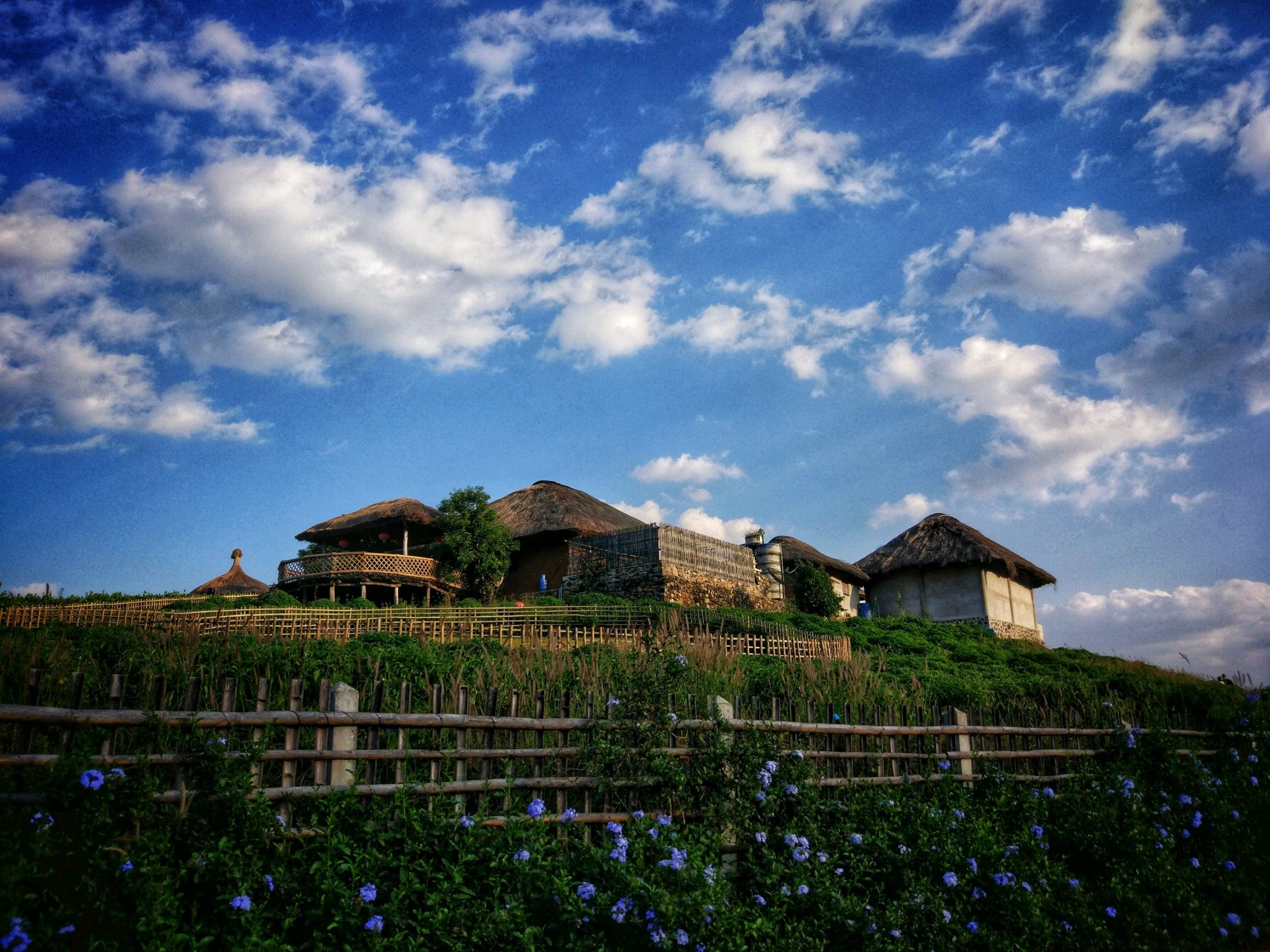 云来观景台在山顶上我跟我妈是绝对不可能四点半爬起来开车上来看日出