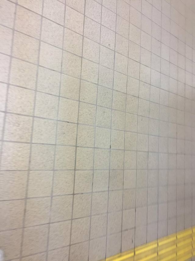 二之丸庭园(二条城内)