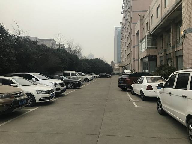 兴庆斋·盐池手抓羊肉清真餐厅(交通学院店)