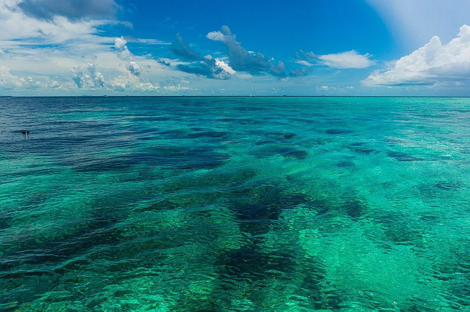 探秘未知的深蓝大海!