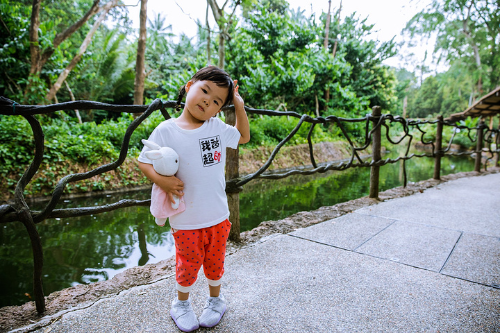 新加坡夜间动物园是最大的特色用夜晚的神秘气氛把游客带入一段奇妙的