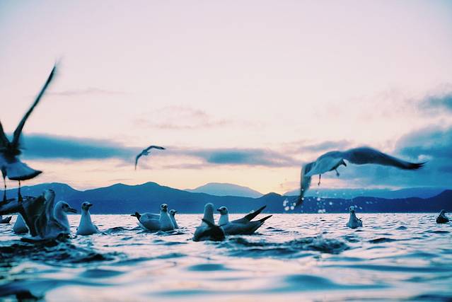 猪槽船游湖（里格码头）