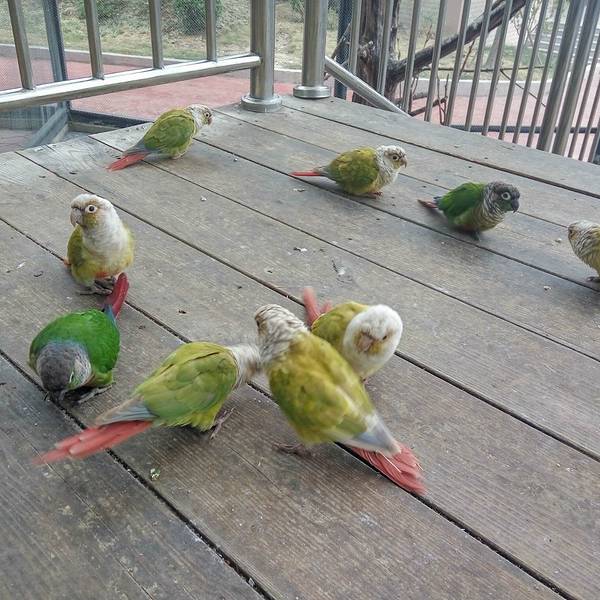 2019隐贤山庄门票,东莞隐贤山庄游玩攻略,隐贤