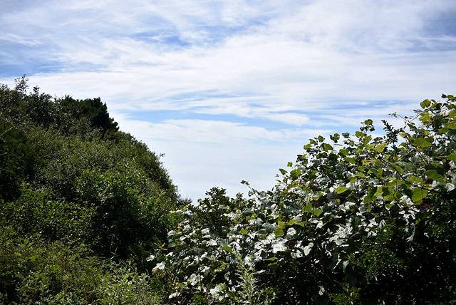 中国嵩顶国家森林公园