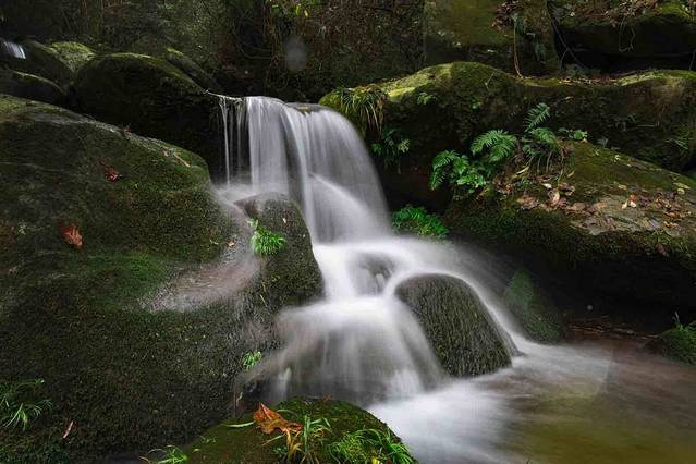 百里龙山国家森林公园