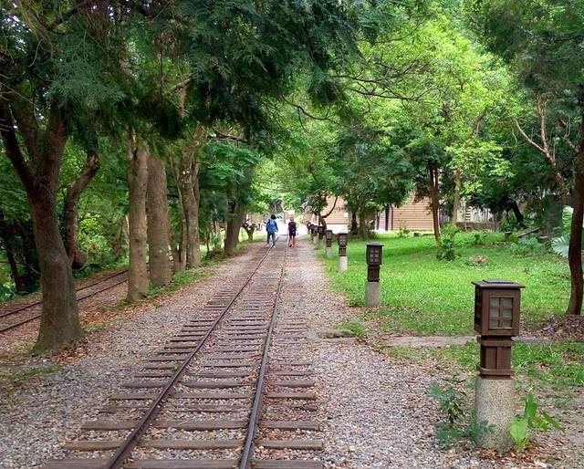 林田山林业文化园区