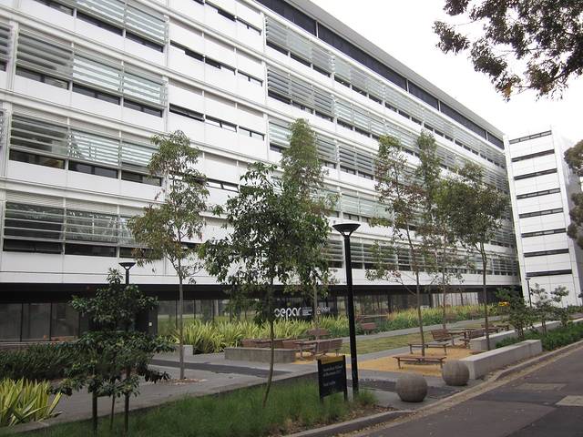 新南威尔士大学