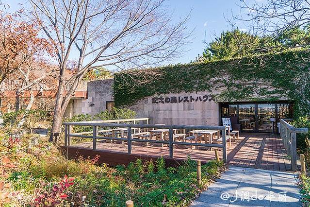 国营常陆海滨公园